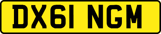 DX61NGM