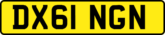 DX61NGN