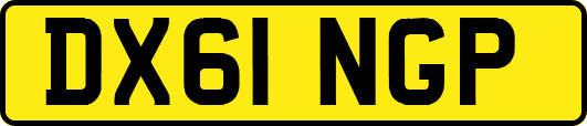 DX61NGP