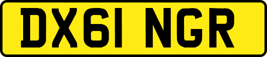 DX61NGR