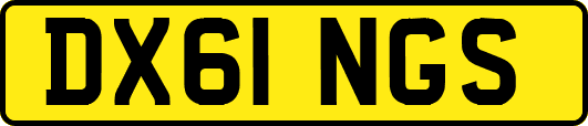 DX61NGS