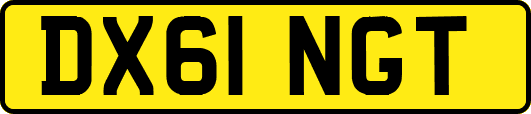 DX61NGT