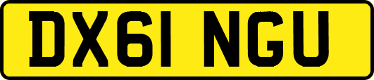 DX61NGU