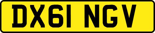 DX61NGV