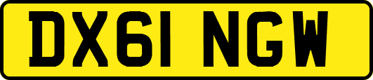 DX61NGW
