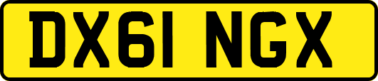 DX61NGX