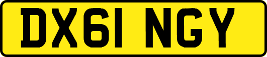 DX61NGY
