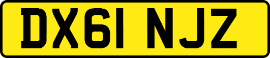 DX61NJZ