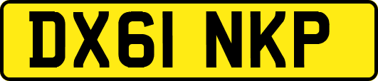 DX61NKP