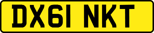 DX61NKT