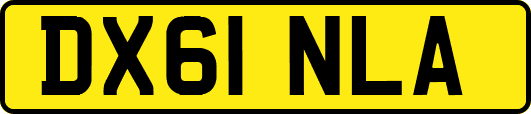 DX61NLA