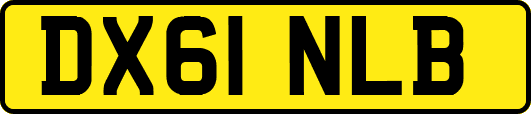 DX61NLB