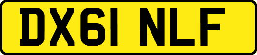 DX61NLF