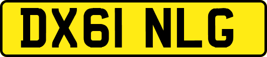 DX61NLG