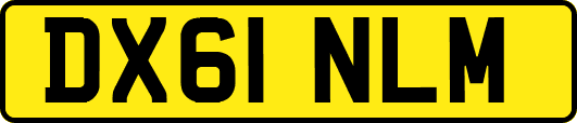 DX61NLM
