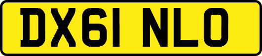 DX61NLO