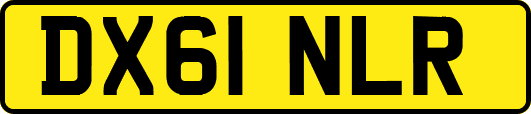 DX61NLR