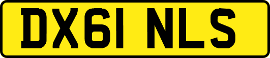 DX61NLS