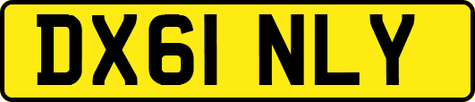 DX61NLY