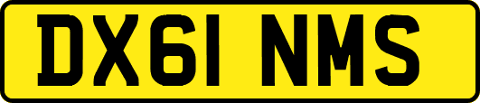 DX61NMS