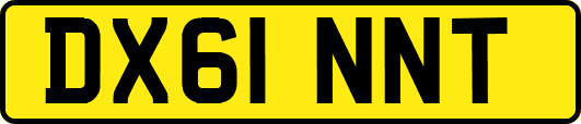 DX61NNT