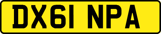 DX61NPA