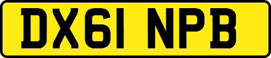 DX61NPB