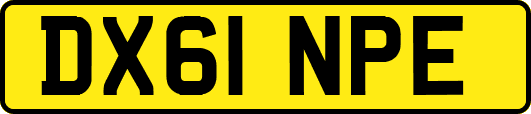 DX61NPE