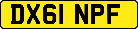 DX61NPF