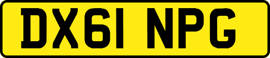 DX61NPG