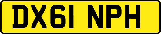 DX61NPH