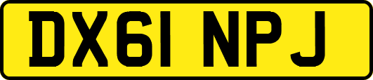 DX61NPJ
