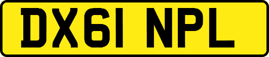 DX61NPL