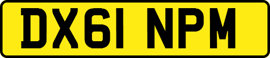 DX61NPM