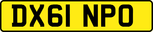 DX61NPO