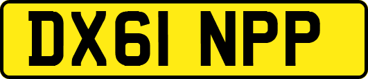 DX61NPP
