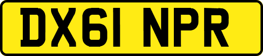 DX61NPR