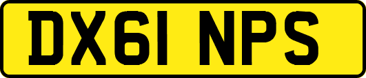 DX61NPS