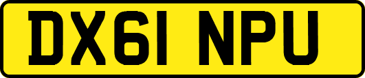 DX61NPU