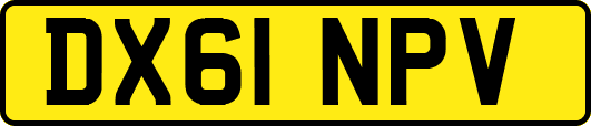 DX61NPV