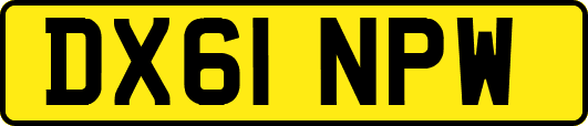 DX61NPW