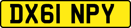 DX61NPY