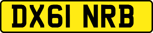 DX61NRB