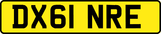 DX61NRE