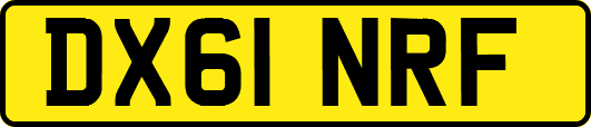 DX61NRF