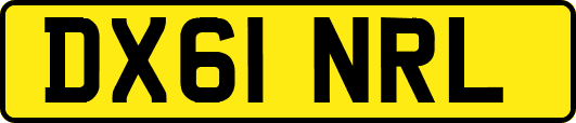 DX61NRL