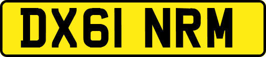 DX61NRM