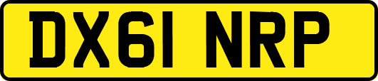 DX61NRP
