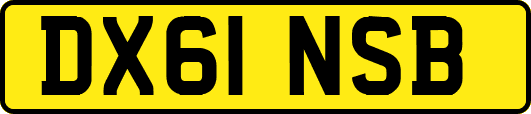 DX61NSB