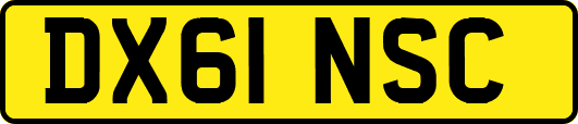 DX61NSC